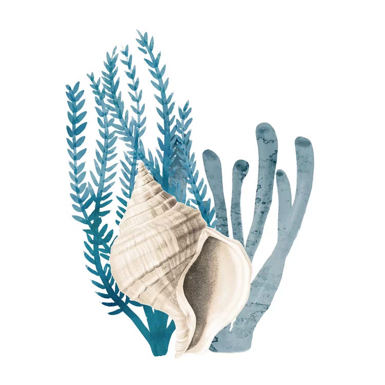 Coral Cove Blue II