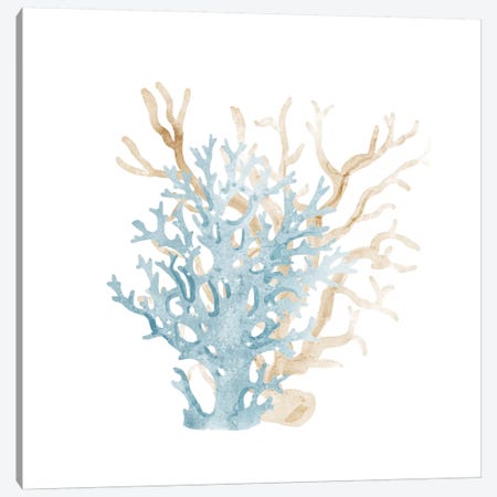 Coral Cove Blue III Canvas Print #KAL250} by Kimberly Allen Canvas Art Print