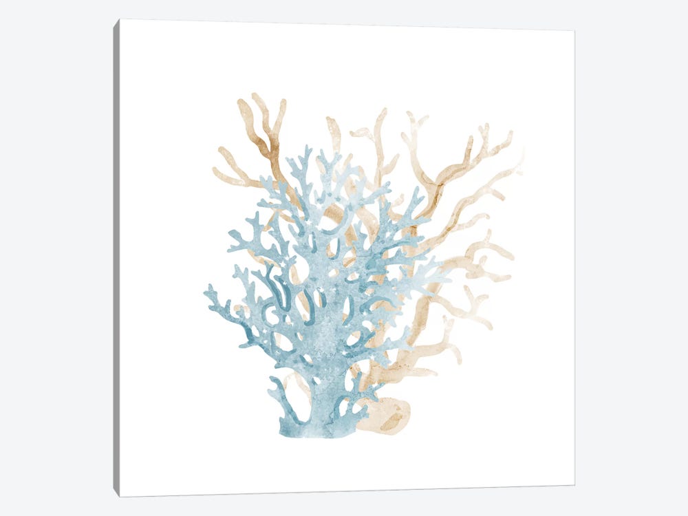 Coral Cove Blue III by Kimberly Allen 1-piece Canvas Print