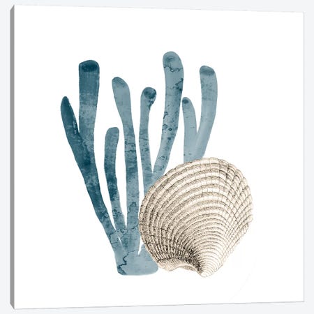 Coral Cove Blue IV Canvas Print #KAL251} by Kimberly Allen Art Print