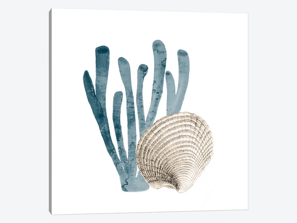 Coral Cove Blue IV by Kimberly Allen 1-piece Canvas Art