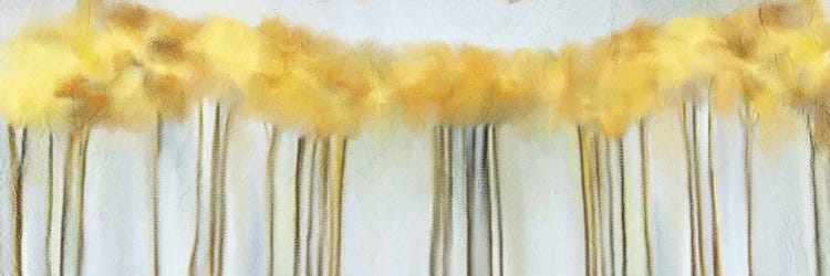 Yellow Fall by Kimberly Allen wall art