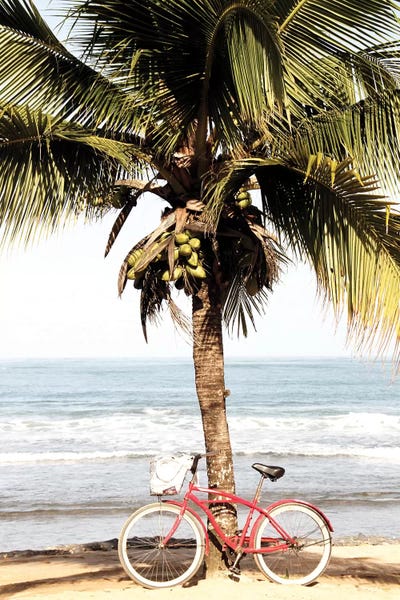 Bicycles: Ride to the Beach by Kimberly Allen
