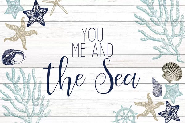Sea Shells: You Me and the Sea by Kimberly Allen