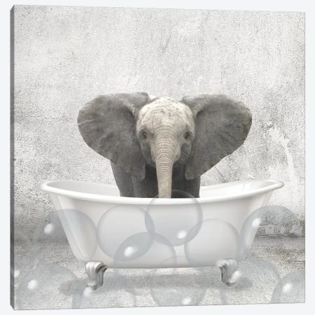 Baby Elephant Bath Canvas Print #KAL294} by Kimberly Allen Canvas Artwork