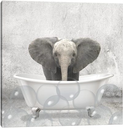 Baby Elephant Bath Canvas Art Print - Animal Humor Art