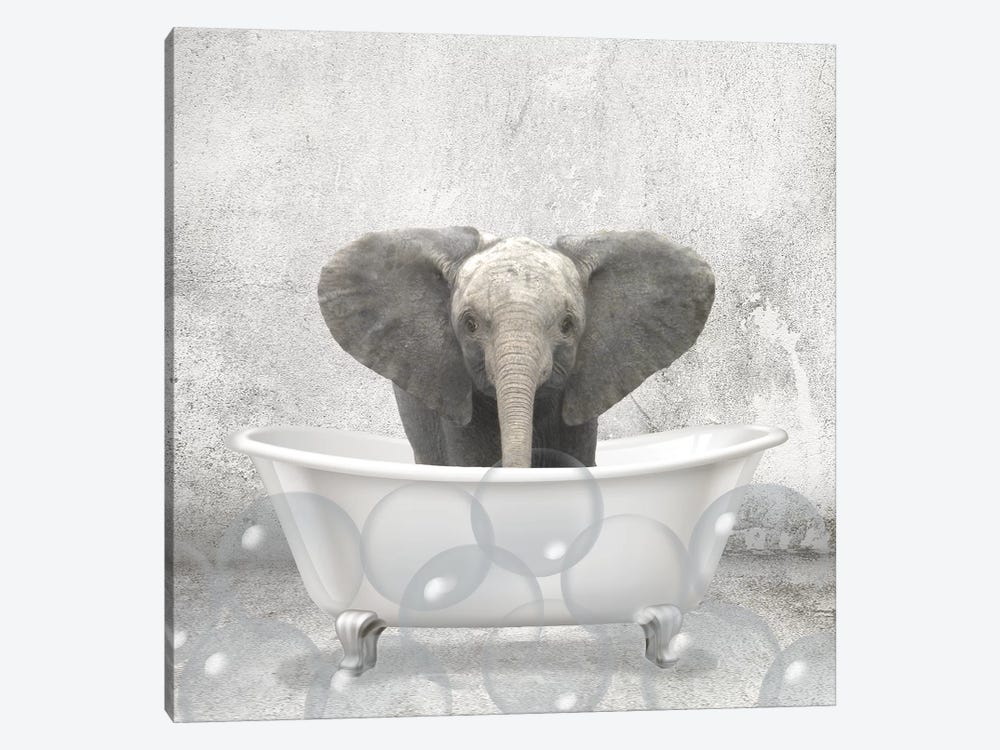 Baby Elephant Bath by Kimberly Allen 1-piece Canvas Art Print