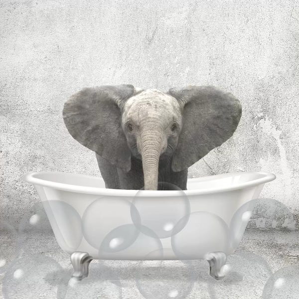 Elephants: Baby Elephant Bath by Kimberly Allen