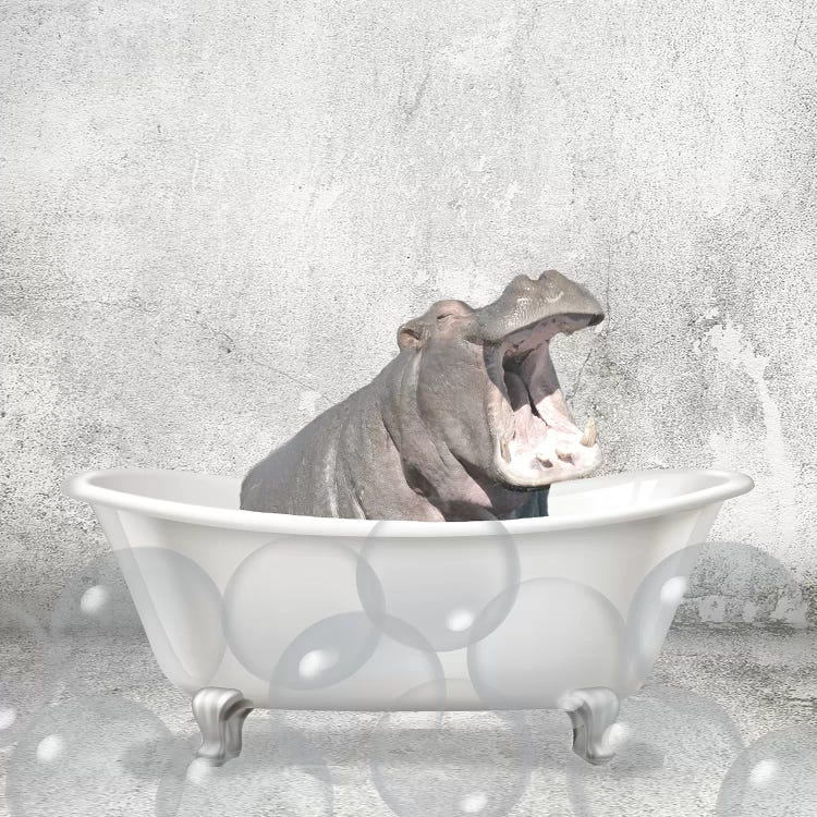 Baby Hippo Bath