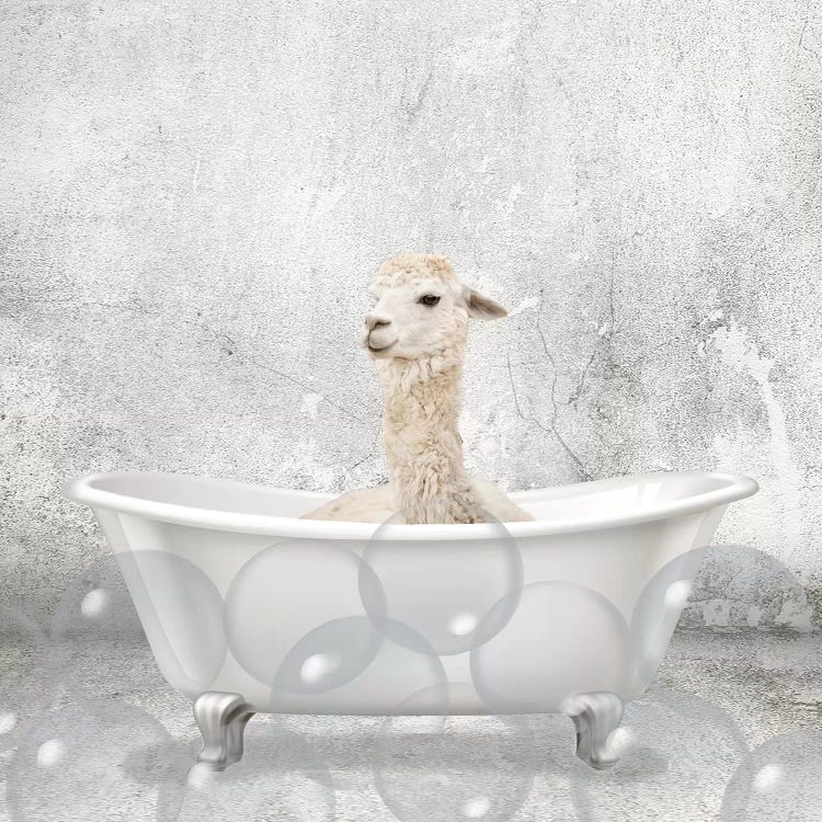 Baby Llama Bath