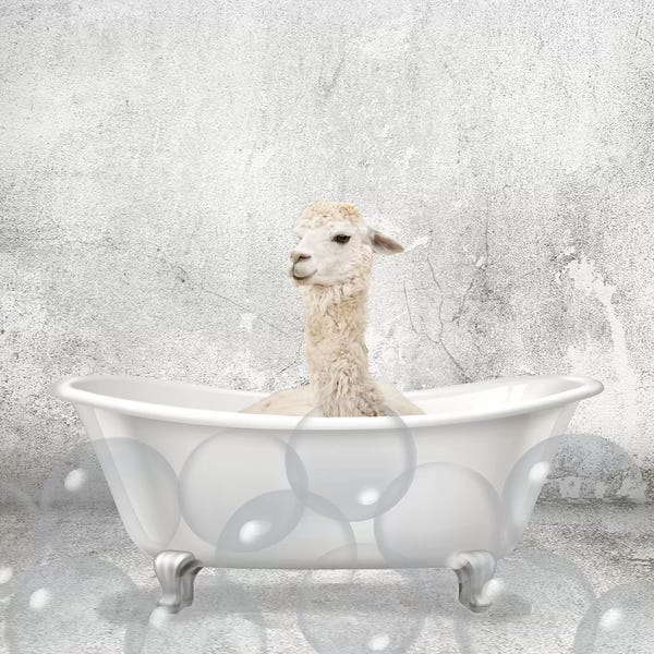 Baby Llama Bath