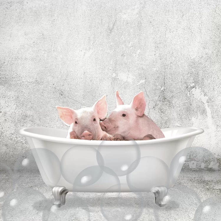 Baby Piglets Bath