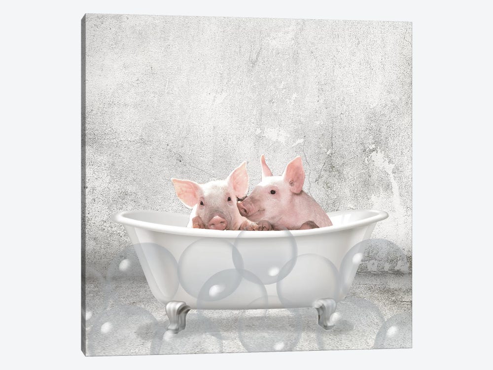 Baby Piglets Bath by Kimberly Allen 1-piece Canvas Print