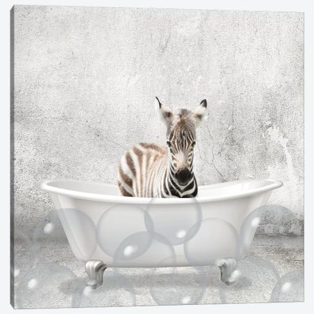 Baby Zebra Bath Canvas Print #KAL299} by Kimberly Allen Canvas Print