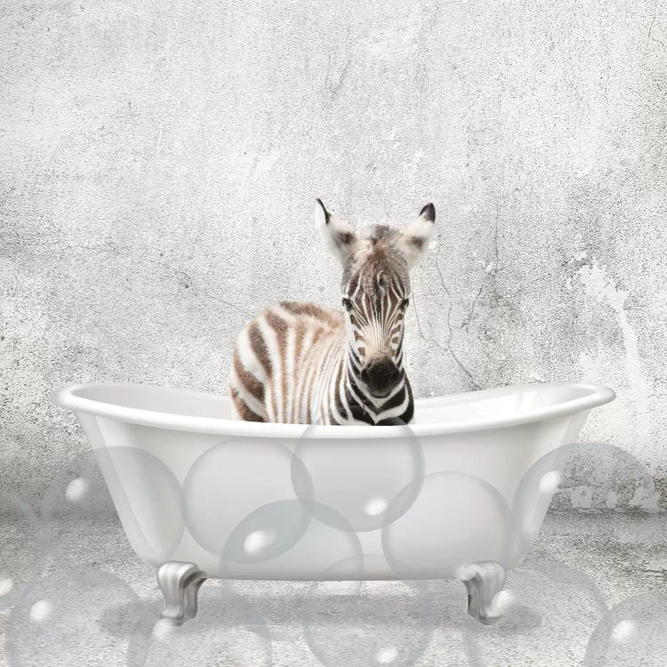 Baby Zebra Bath