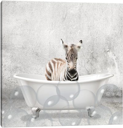 Baby Zebra Bath Canvas Art Print - Bathroom Humor Art