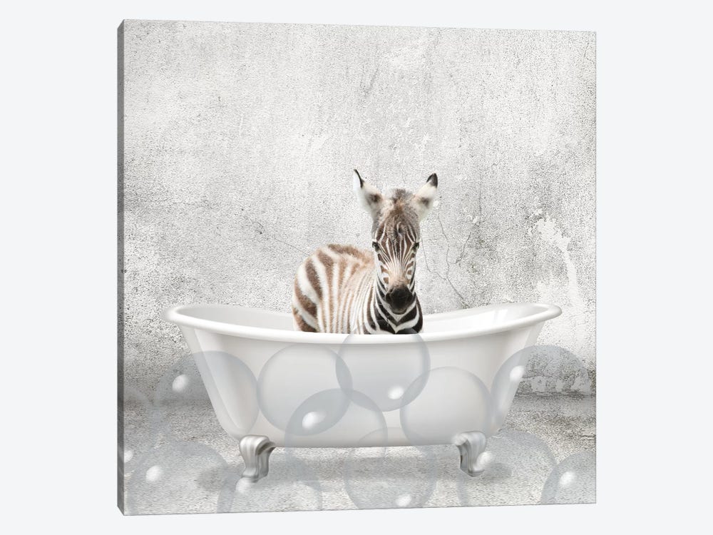 Baby Zebra Bath by Kimberly Allen 1-piece Canvas Art