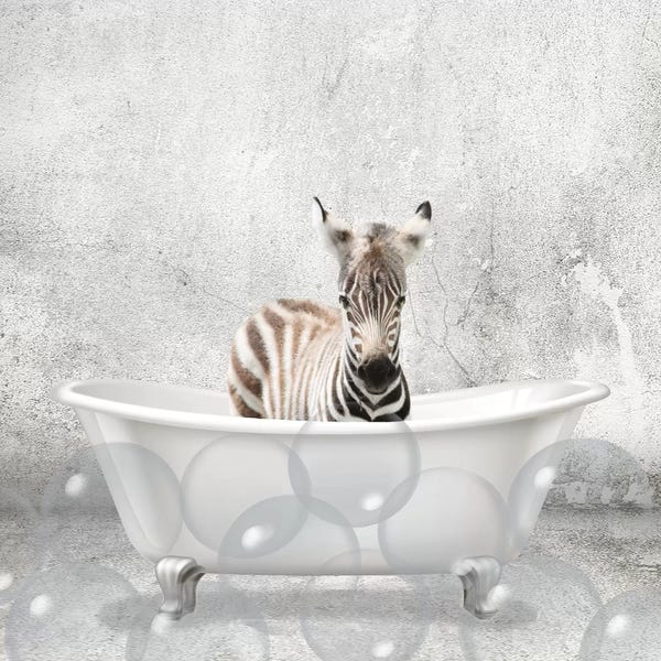 Baby Zebra Bath