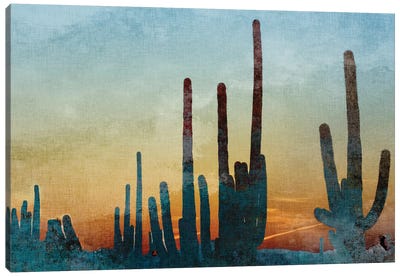 Saguaro Cactus Canvas Art Print - Kimberly Allen