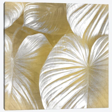 Tropic Gold II Canvas Print #KAL35} by Kimberly Allen Art Print