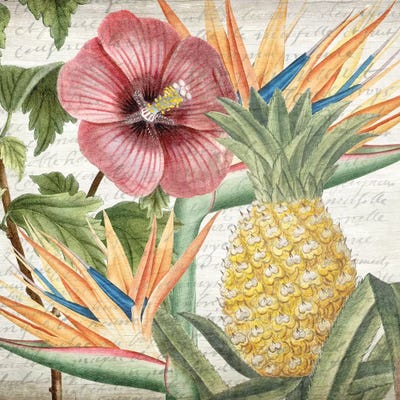 My Tropics II by Kimberly Allen art print