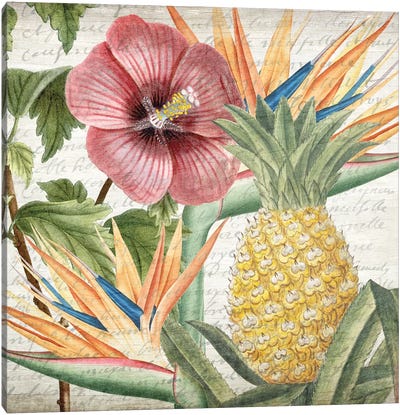 My Tropics II Canvas Art Print - Pineapple Art