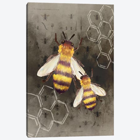 Bee Charmer II Canvas Print #KAL380} by Kimberly Allen Canvas Print