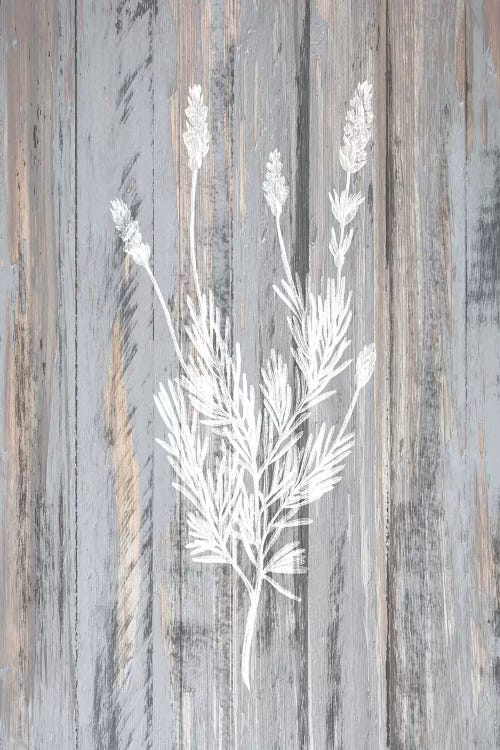 Botanical Wood III by Kimberly Allen wall art