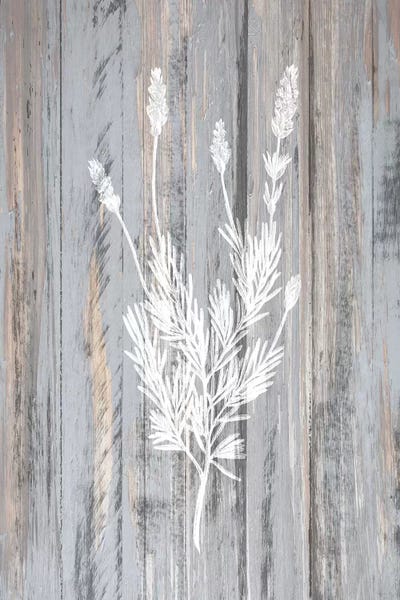 Kimberly Allen: Botanical Wood III by Kimberly Allen