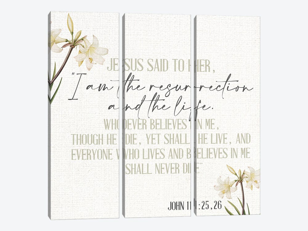 Jesus Said by Kimberly Allen 3-piece Canvas Wall Art