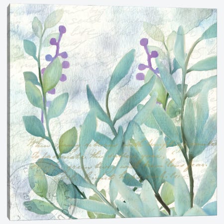 Watercolor Floral II Canvas Print #KAL45} by Kimberly Allen Canvas Art
