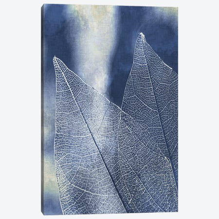 Transparent Leaves II Canvas Print #KAL466} by Kimberly Allen Canvas Art Print