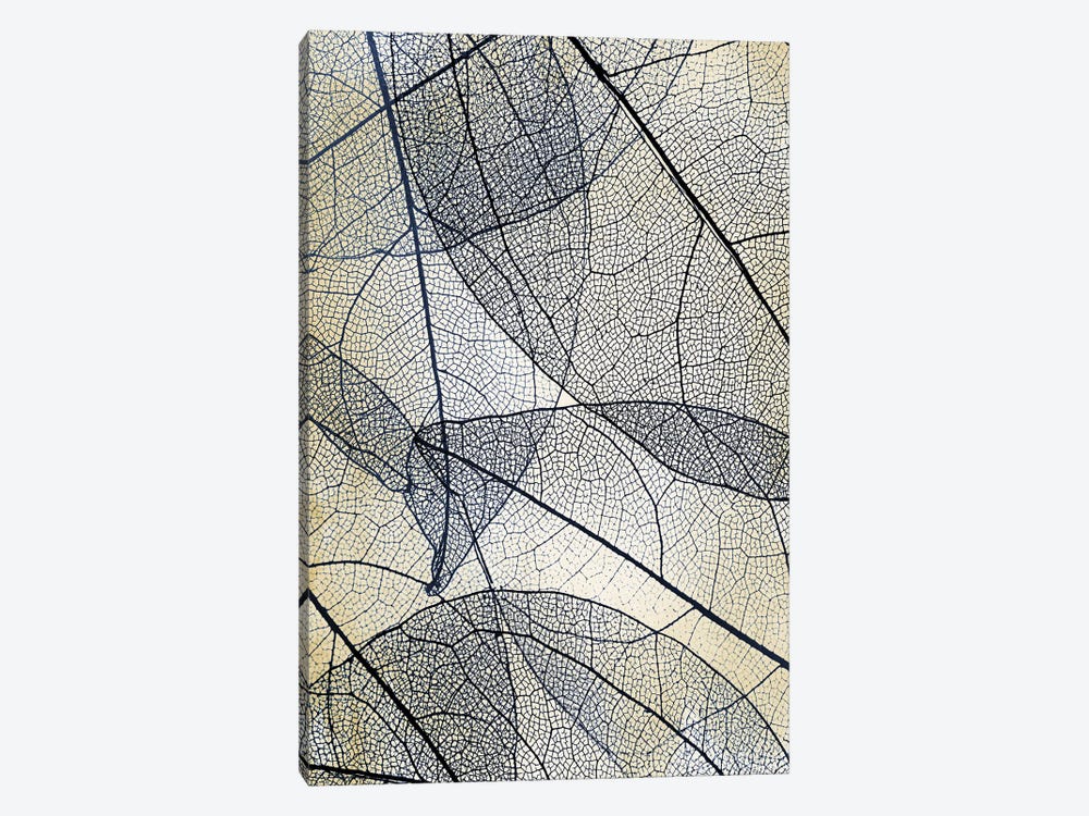 Transparent Leaves III 1-piece Canvas Art Print