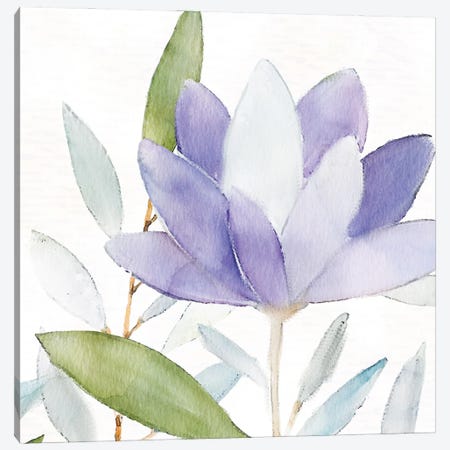 Purple Spring II Canvas Print #KAL47} by Kimberly Allen Canvas Artwork