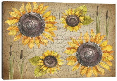 Sunflower Day Canvas Art Print - Kimberly Allen