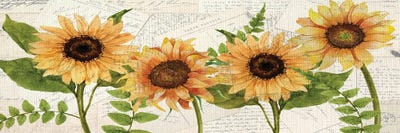 Sunflower Letters by Kimberly Allen canvas print