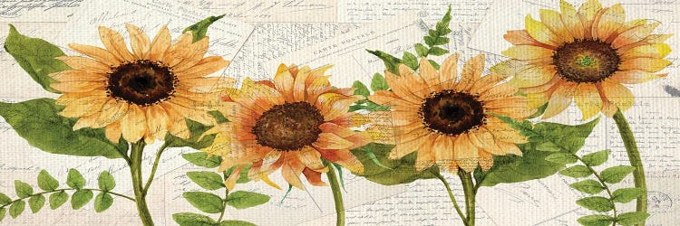 Sunflower Letters