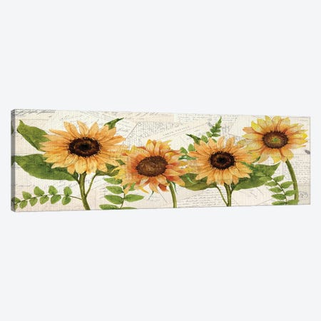 Sunflower Letters Canvas Print #KAL510} by Kimberly Allen Canvas Wall Art