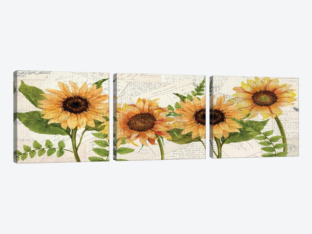 Sunflower Letters by Kimberly Allen 3-piece Canvas Artwork