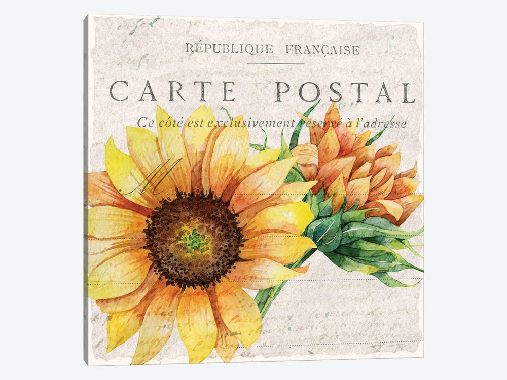 Sunflower Postcard I by Kimberly Allen 1-piece Canvas Art Print