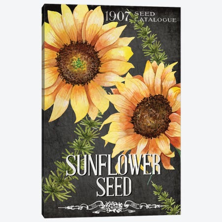 Sunflower Seed Canvas Print #KAL513} by Kimberly Allen Canvas Art