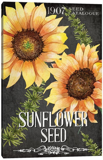 Sunflower Seed Canvas Art Print - Sunflower Art