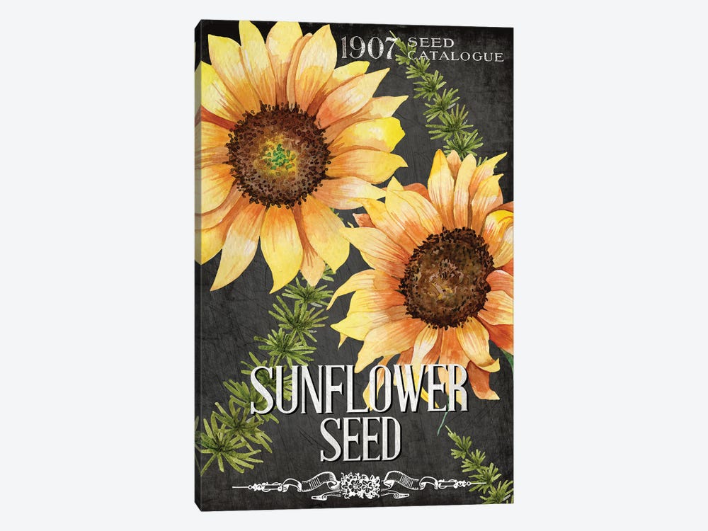 Sunflower Seed by Kimberly Allen 1-piece Art Print