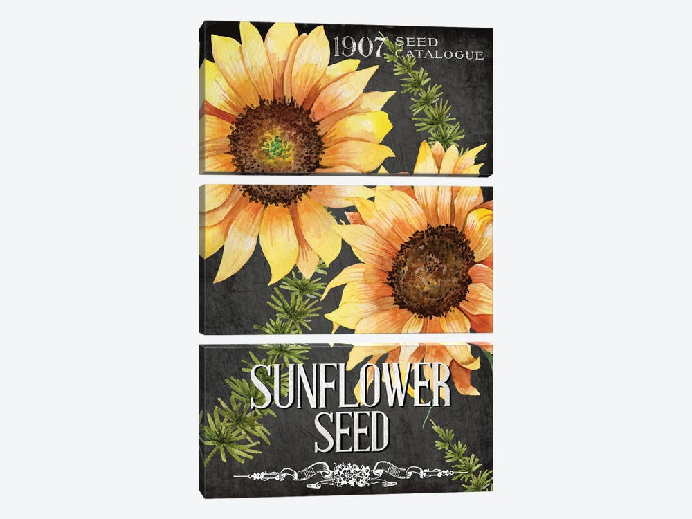 Sunflower Seed by Kimberly Allen 3-piece Art Print