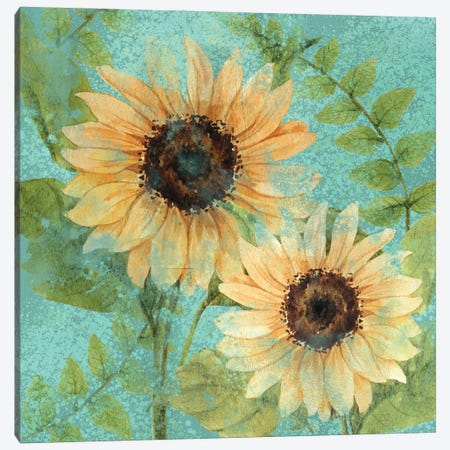 Sunflower Teal Canvas Print #KAL514} by Kimberly Allen Art Print