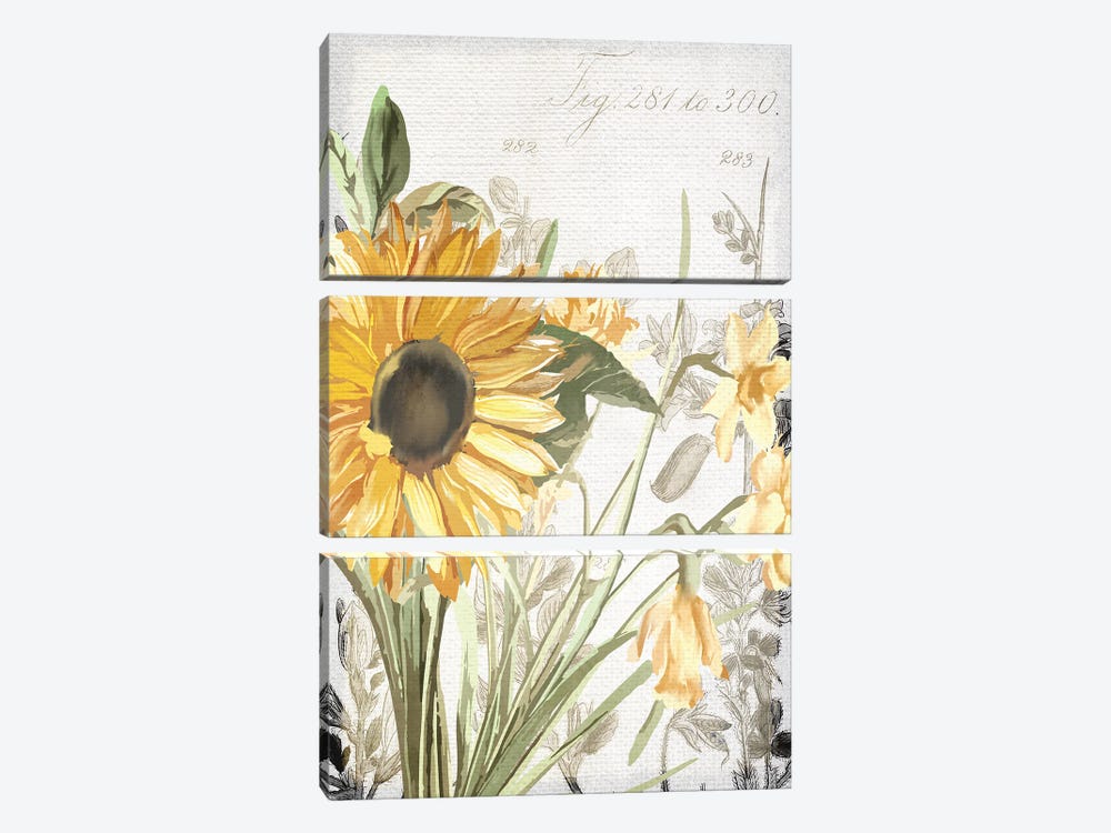 Wildflower Guide I by Kimberly Allen 3-piece Art Print