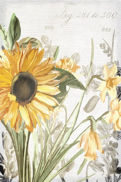 French Country Décor: Wildflower Guide I by Kimberly Allen