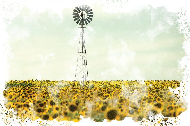 Windmill Sunflowers