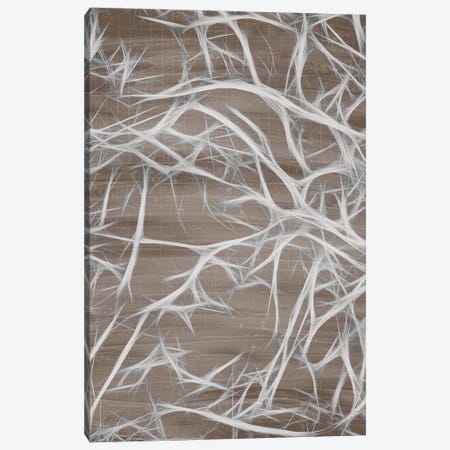 Branching I Canvas Print #KAL520} by Kimberly Allen Canvas Print