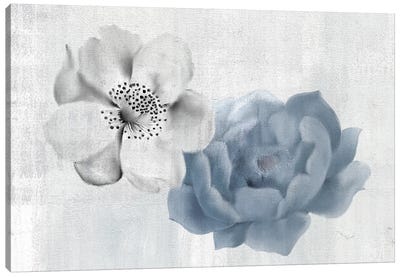 Blue and White Canvas Art Print - Kimberly Allen